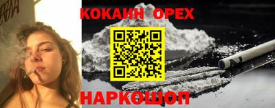 стафф Будённовск