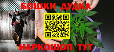 стафф Будённовск