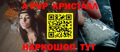 стафф Будённовск