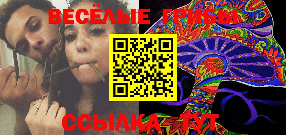 Туапсе  Псилоцибиновые грибы GOLDEN TEACHER  Вход с VPN 