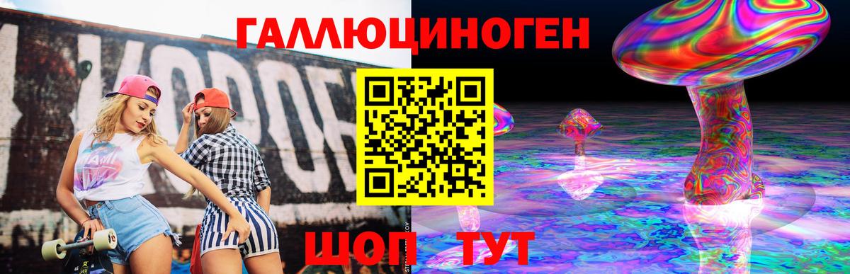 Псилоцибиновые грибы Psilocybine cubensis Туапсе